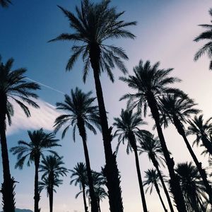 Meet your Posher, Mimi